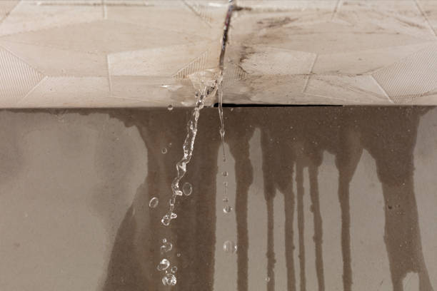 Professional Burst Pipe Cleanup technician working in Nelsonville, OH